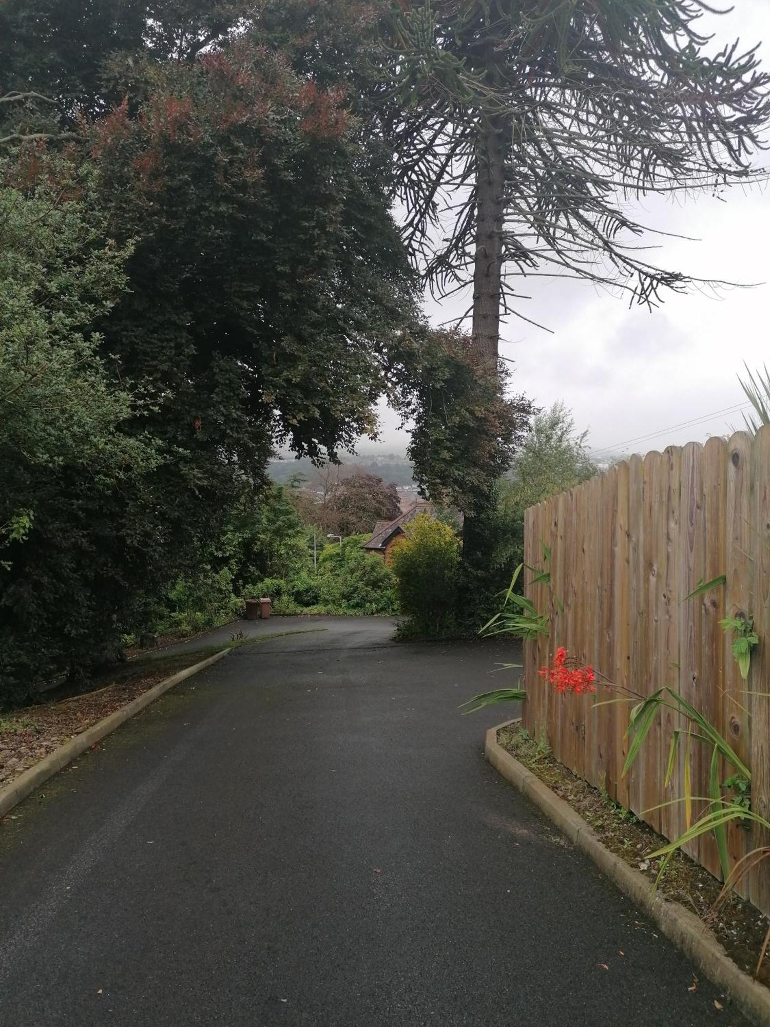 Appartamento The Beeches Newry Esterno foto
